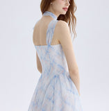 DR235570/Pre-order