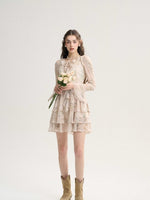 DR235586/Pre-order