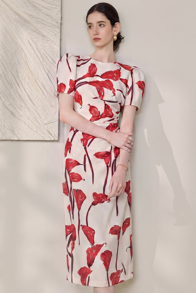 DR236125/Pre-order
