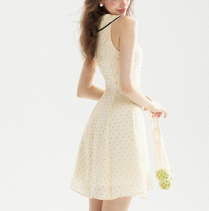 DR236221/Pre-order