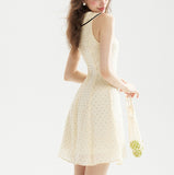 DR236221/Pre-order
