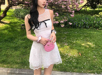 DR235653/Pre-order