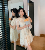 DR235620/Pre-order