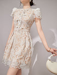DR235638/Pre-order