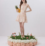DR236111/Pre-order