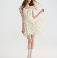DR235093/Pre-order