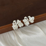 ER25172/Pre-order