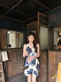 DR236240/Pre-order