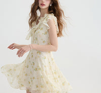 DR235093/Pre-order