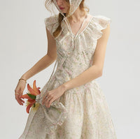 DR235064/Pre-order
