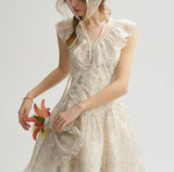 DR235064/Pre-order