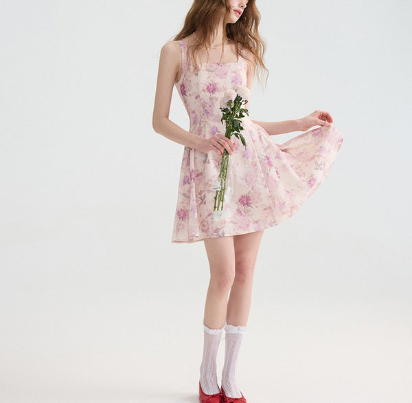 DR235104/Pre-order