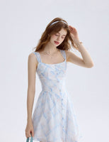 DR235570/Pre-order