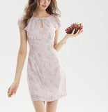 DR236207/Pre-order