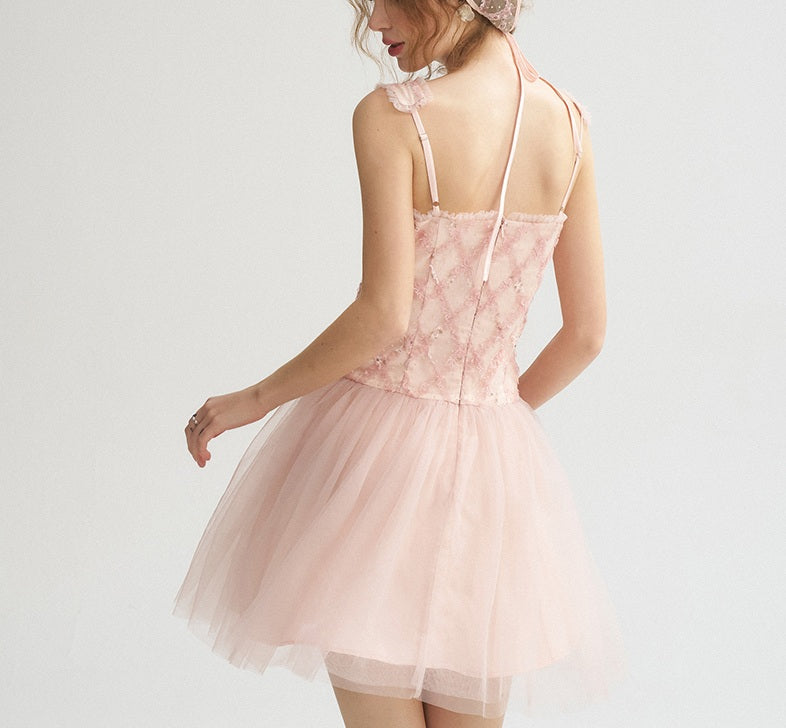 DR235065/Pre-order
