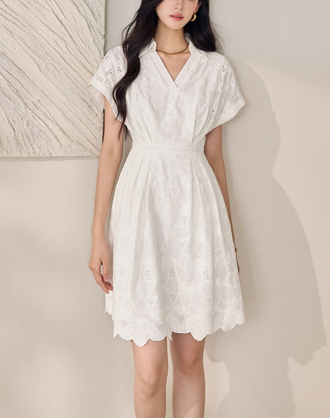 DR235163/Pre-order