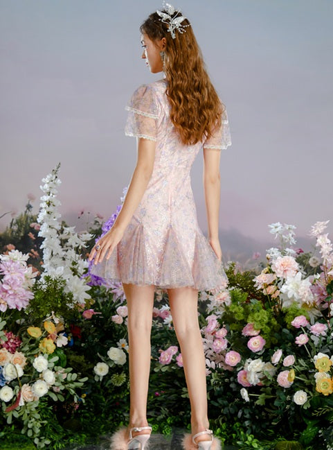 DR235228/Pre-order