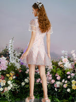 DR235228/Pre-order