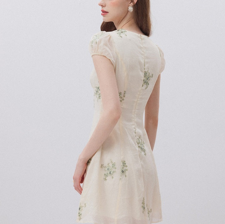 DR236112/Pre-order