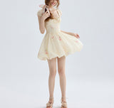 DR235217/Pre-order