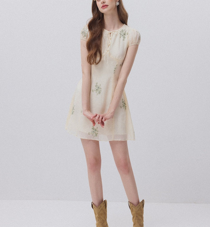 DR236112/Pre-order