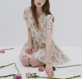 DR236275/Pre-order