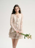 DR235586/Pre-order