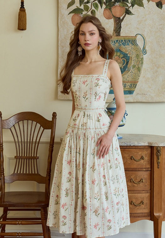 DR236142/Pre-order