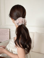 HA25288/Pre-order