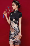 DR235227/Pre-order