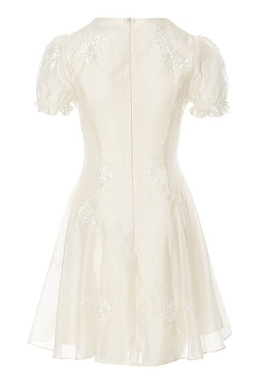 DR236100/Pre-order