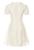 DR236100/Pre-order