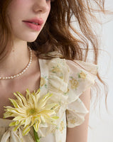 DR235093/Pre-order