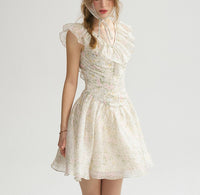 DR235064/Pre-order