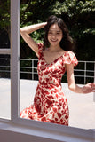 DR236218/Pre-order
