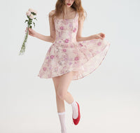 DR235104/Pre-order