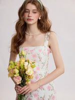DR235614/Pre-order