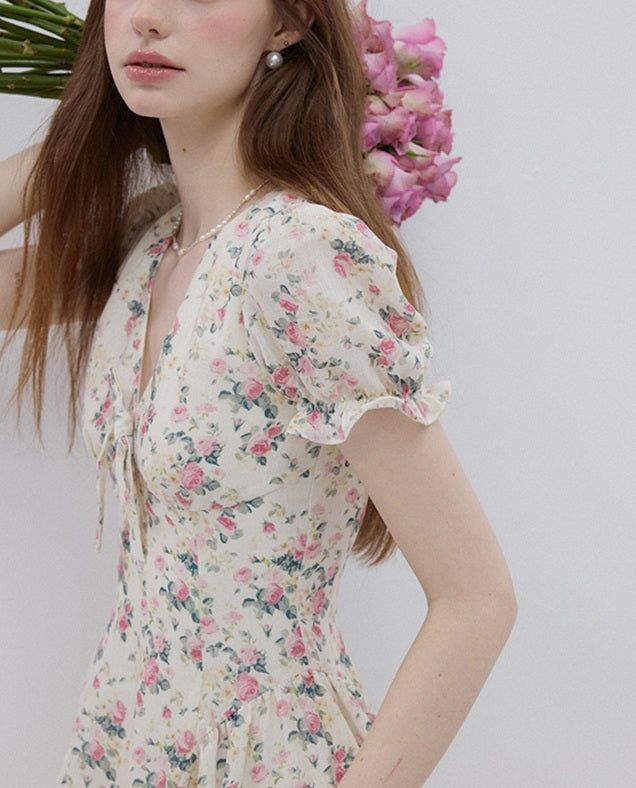DR236088/Pre-order