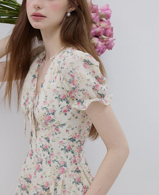 DR236275/Pre-order