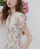 DR236275/Pre-order