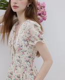 DR236088/Pre-order
