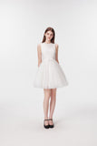 DR236205/Pre-order 2 colours