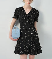 DR235168/Pre-order