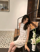 DR235584/Pre-order