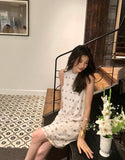 DR235584/Pre-order