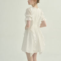 DR235652/Pre-order