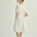 DR235652/Pre-order