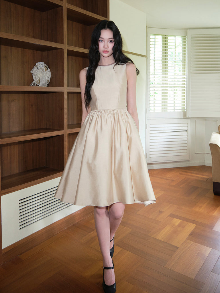 DR236286/Pre-order