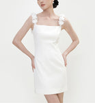 DR23550/Pre-order