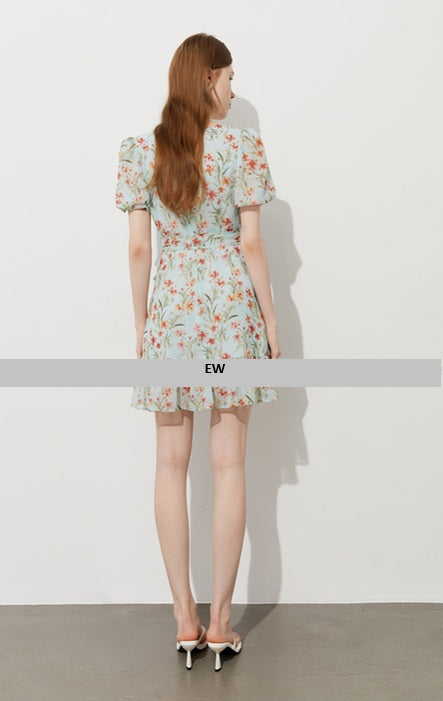 DR235145/Pre-order